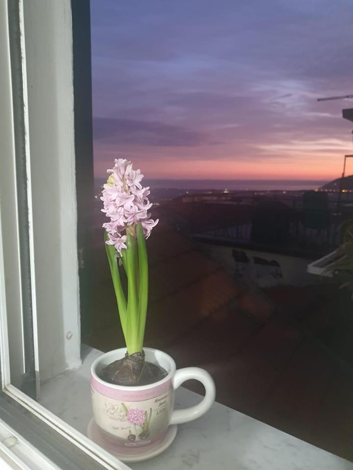 Appartamento Bellavista Castelnuovo Magra Ngoại thất bức ảnh